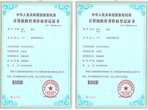 廣州計(jì)算機(jī)軟件檢測報(bào)告 軟件著作權(quán)登記代辦可加急代辦